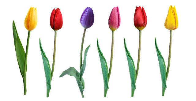 Is 8 Greens Good for You? The Veggie Power Punch