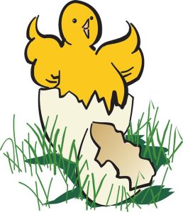 Is Ground Chicken Good for You? The Poultry Pick