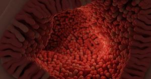 Digestive Support: Is Probiotic Multi Enzyme Good for You?