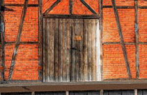 Wild Ramps: The Foraged Superfood That’s Good for You