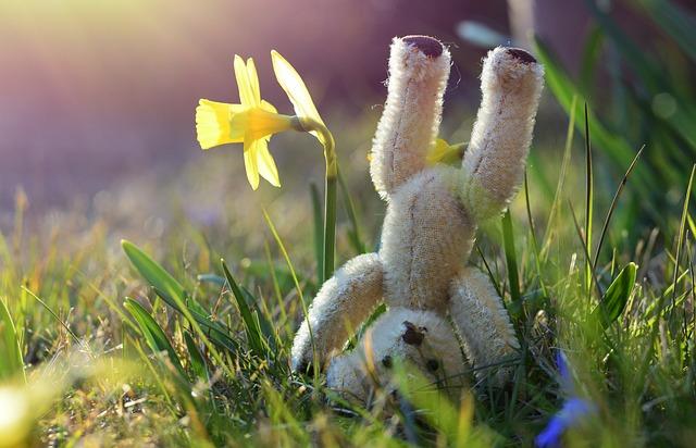 Headstands: A Risky Yoga Move for Your Health? 5 Tips for Safely Incorporating Headstands into Your Routine