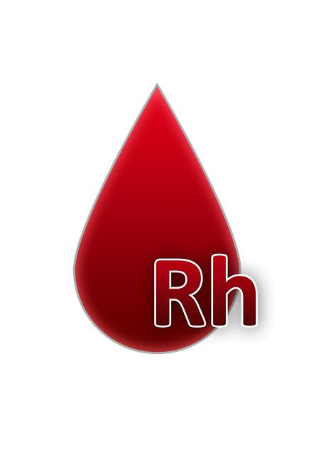 Factors to Consider When Choosing Clam Chowder