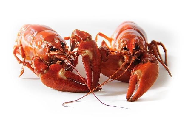 Potential Allergic Reactions to Crawfish and How to Manage Them