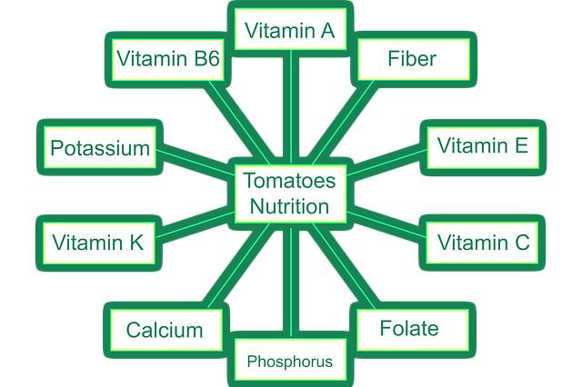 Breaking Down the Nutritional Information