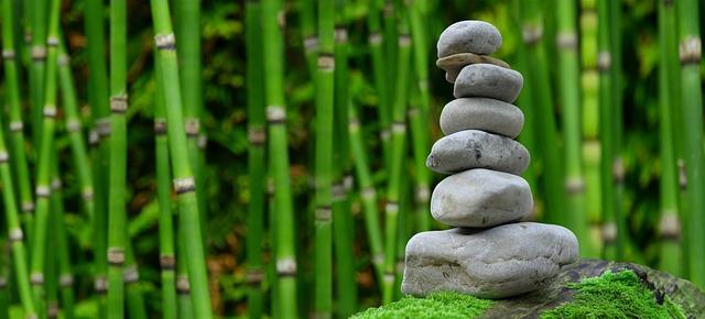 Balancing Indulgence with Nutritional Needs