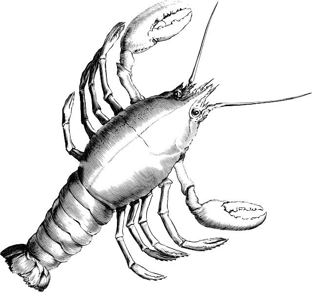 Understanding the Importance of Properly Cooking Crawfish to Minimize Health Risks