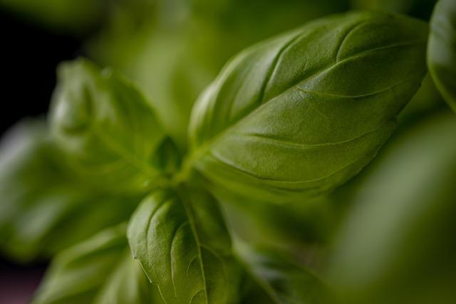 Innovative Uses of Pesto Beyond Pasta Dishes