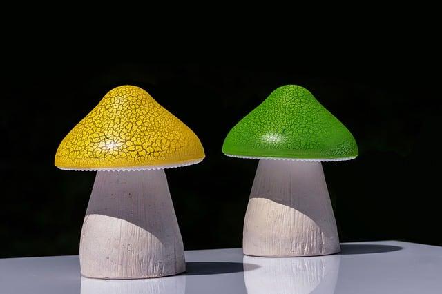 How to Incorporate Modern Mushrooms into Your Daily Routine