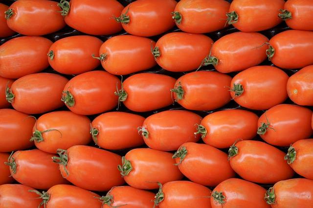 Are Roma Tomatoes Good for You? The Lycopene Powerhouse Unveiled! 2 Are Roma Tomatoes Packed with Lycopene Goodness?