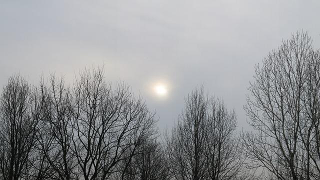 - Delving into Artificial Sweeteners in Monster Zero