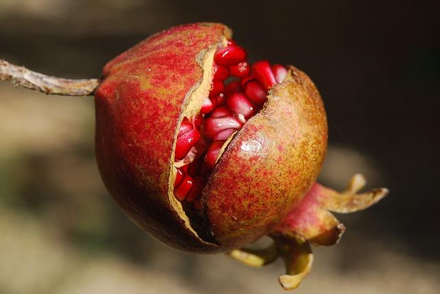 Pomegranate Perks: Is Green Tea with‍ Pomegranate Beneficial for You?