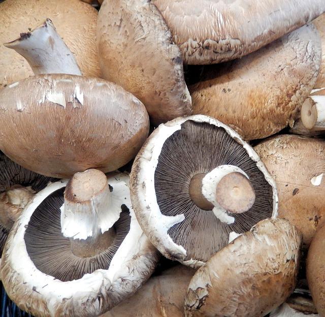 - Concerns About Portabella Mushrooms and High Cholesterol Levels