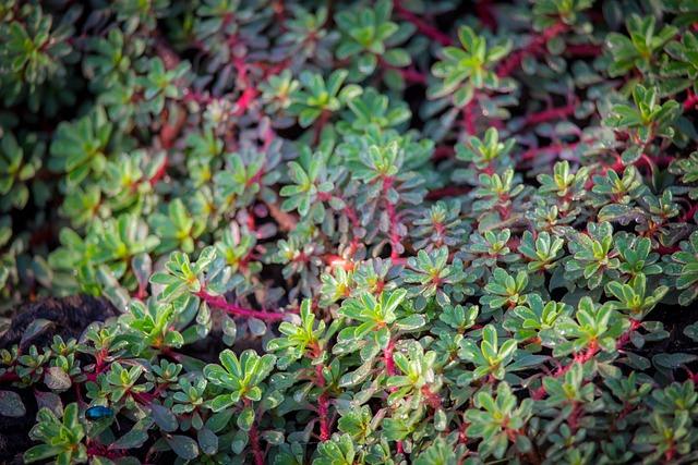 Understanding Enlarged Prostate and its Symptoms