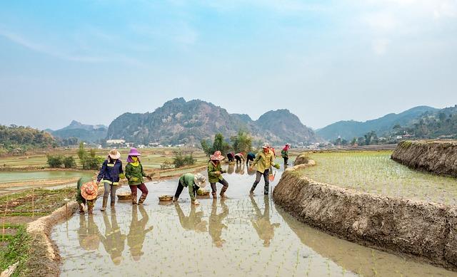 Sapa Condiment: The Ancient Flavor Enhancer Rediscovered 7 Exploring the Cultural Significance of Sapa in Vietnamese Cuisine