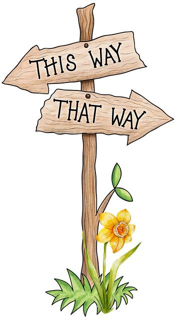 Making Informed Choices: How to Select the Healthiest Meat Options