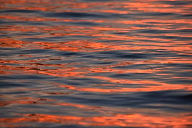 The Benefits of Orange Water for Your Health