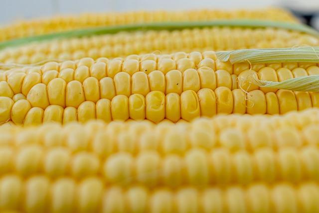Is Cream Corn Nutritious or Not?
