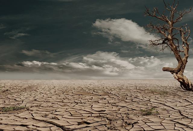 How Dehydration Affects Your Digestive System