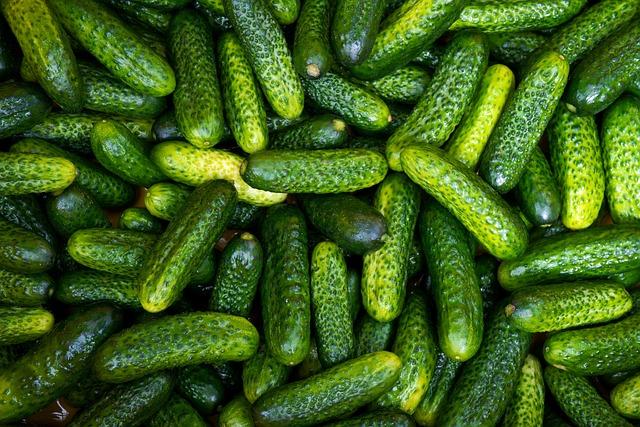 - The Benefits of Adding Claussen Pickles to Your Diet