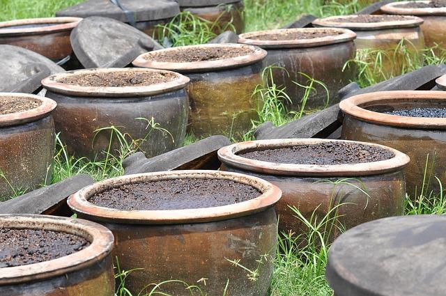 How to Incorporate Fermented Soy into Your Diet