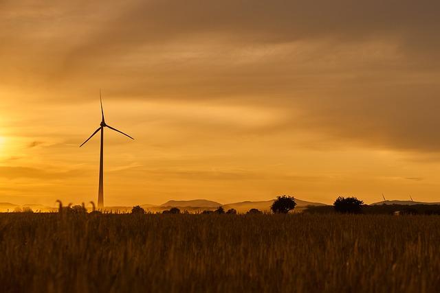 Eco-Friendly and Sustainable Practices