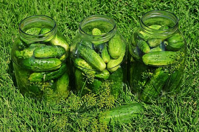 Exploring Alternative Methods for Pickle Preservation