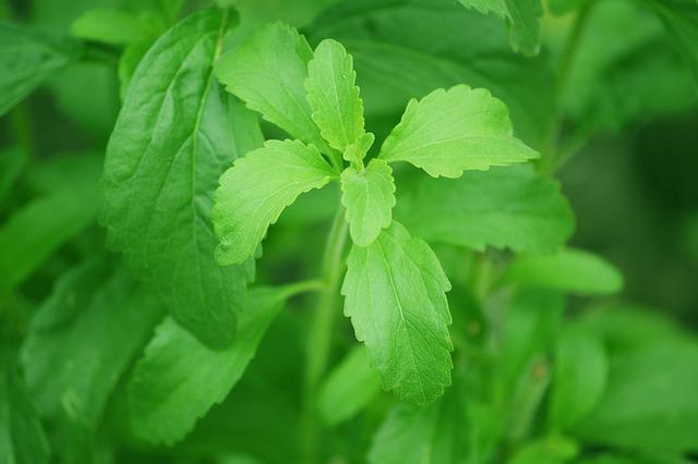 Alternative Sweeteners: Exploring Options for Health-Conscious Consumers