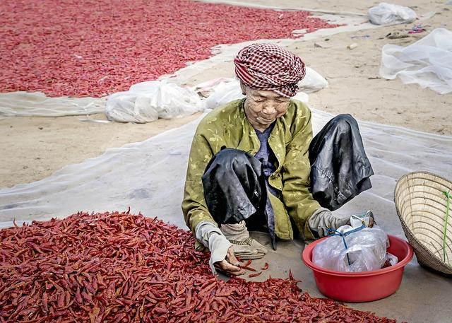 Exploring the Versatility of Pimentos in Cooking