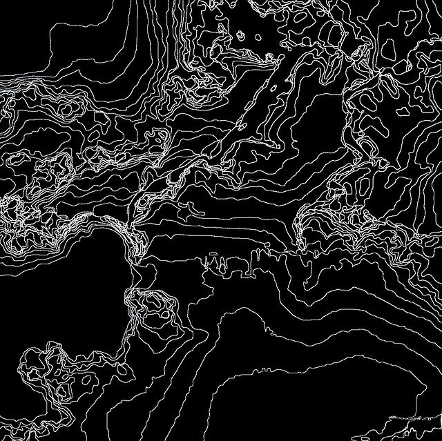 Potential Side Effects of Consuming Microcrystalline Cellulose