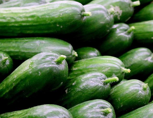 Delicious Ways to Enjoy Persian Cucumbers