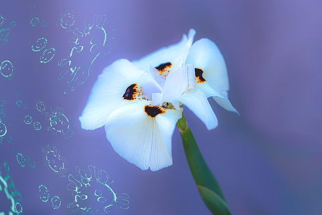 Can Bad Gas Cause Transmission Problems? The Link Between Fuel and Gear Function 7 Effective Solutions for Addressing Transmission Problems Caused by Bad Gas