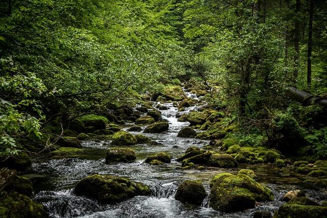 The Origins of the Asian Squat
