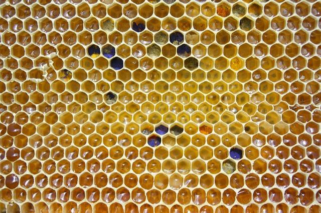 The Versatile Uses of Honeycomb Wax in Beauty Products