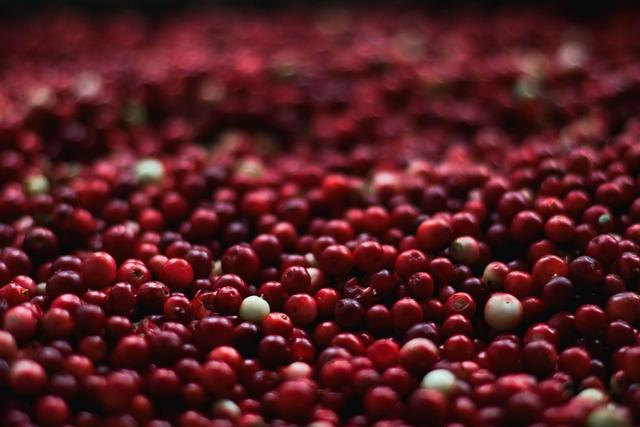 Choosing the Best Cranberry Sauce for Your Thanksgiving Table