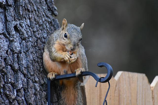 Can Eating Unripe Avocado Cause Digestive Discomfort?