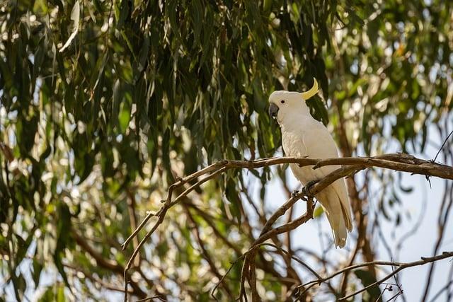 Making‌ Informed Decisions About ⁣Your Gum Choices