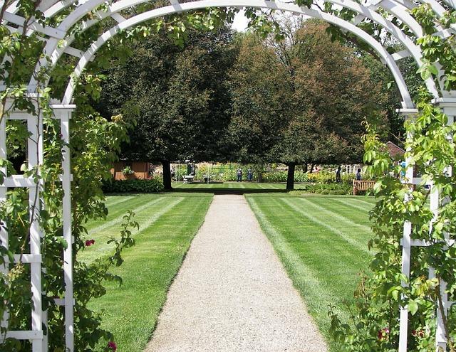 What You Need to Know Before Buying Mott's Fruit Snacks