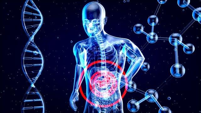 Tangerines: The Citrus Superfood You Need in Your Diet 6 Gut Health Friendly: The Digestive Benefits of Adding Tangerines to Your Diet