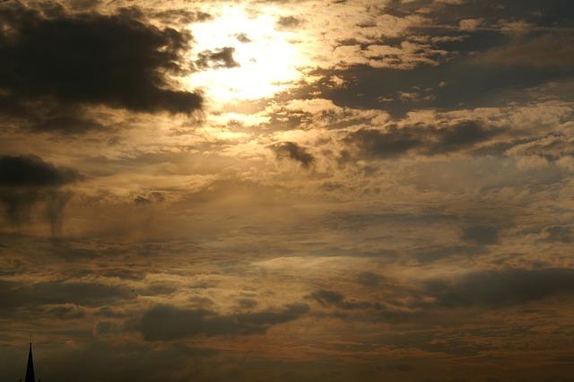 Walleye: Why This Fish Is Good for Your Diet 7 - Comparing Walleye to Other Fish: How It Stacks Up in Nutrition and Taste