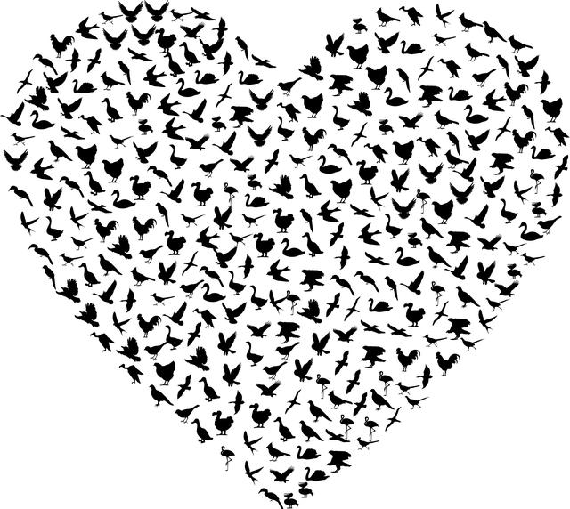 Is Chicken Heart Good for You? The Nutrient-Packed Organ Meat! 9 Factors to Consider When Buying and Preparing Chicken Heart