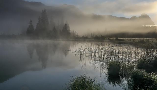 The Role of Sour Grass in Traditional Medicine and Folklore