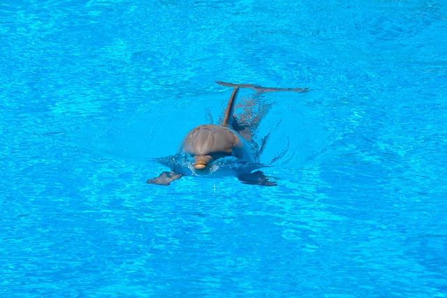 Smart Water: The Hydration Secret That's Good for You 2 Smart Water vs Regular Water: What's the Difference?