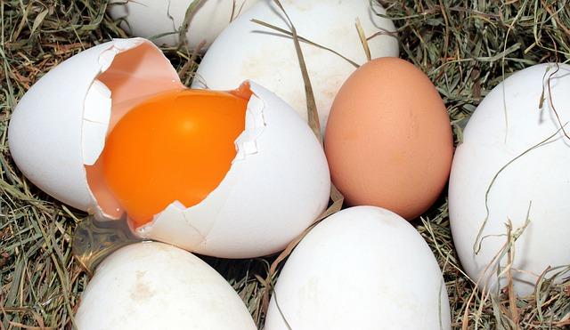 Are Goose Eggs Safe to Eat for Everyone?