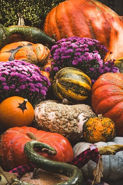 Thanksgiving Traditions: The History and Significance of Cranberry Sauce